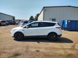 Used 2015 Ford Escape Titanium image 3