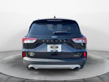 Certified 2022 Ford Escape SEL image 4