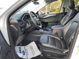 Used 2022 Ford Escape SEL image 5
