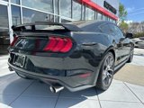 Used 2015 Ford Mustang GT Premium w/ Equipment Group 401A image 3