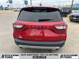 Used 2022 Ford Escape SEL image 5