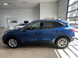 Used 2022 Ford Escape SE image 4