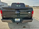 Used 2020 Ford F150 King Ranch w/ Equipment Group 601A Luxury image 6