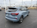 Used 2023 Ford Escape ST-Line w/ Tech Pack #1 image 6