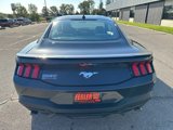 New 2024 Ford Mustang Coupe w/ 2.3L High Performance Package image 6