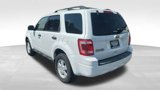 Used 2012 Ford Escape XLT w/ Cargo Pkg image 3