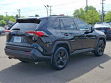 Used 2019 Toyota RAV4 XLE image 4