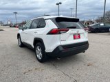 Certified 2020 Toyota RAV4 XLE image 3