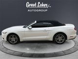 Used 2016 Ford Mustang Premium image 2