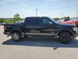 Used 2013 Ford F150 Platinum image 3