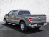 Used 2014 Ford F150 XLT w/ Equipment Group 302A Luxury image 5