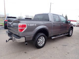 Used 2010 Ford F150 XLT image 6