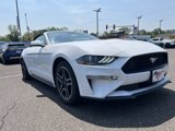 Certified 2021 Ford Mustang Premium image 4