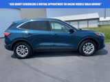 Used 2020 Ford Escape SE image 2
