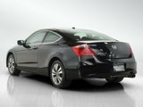 Used 2010 Honda Accord EX-L image 3