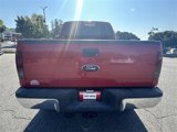 Used 2010 Ford F250 Cabela's image 4