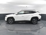 Used 2023 Hyundai Tucson Limited image 4