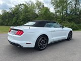Used 2023 Ford Mustang Premium image 3