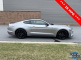 Used 2021 Ford Mustang Coupe w/ Equipment Group 101A image 4