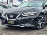 Used 2023 Nissan Maxima 3.5 SV image 2