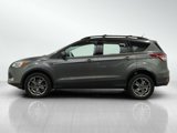 Used 2014 Ford Escape SE w/ Equipment Group 201A image 2