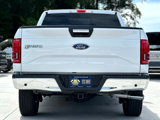 Used 2016 Ford F150 XLT w/ Equipment Group 302A Luxury image 6