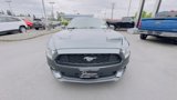 Used 2015 Ford Mustang Coupe image 3