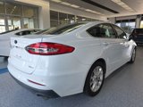 Used 2019 Ford Fusion SE image 2