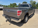 Used 2010 Ford F150 XLT image 5