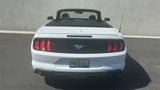 Certified 2022 Ford Mustang Premium image 3