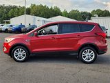 Used 2019 Ford Escape SE image 4