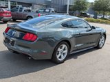 Used 2015 Ford Mustang Coupe image 4