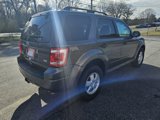 Used 2012 Ford Escape XLT image 5