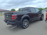 Used 2010 Ford F150 Harley-Davidson image 2