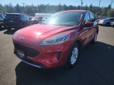 Used 2020 Ford Escape SE image 4