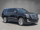 Used 2016 Cadillac Escalade Platinum image 2