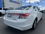 Used 2012 Honda Accord SE image 6