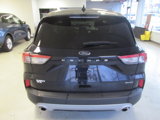 Used 2021 Ford Escape SE w/ Convenience Package image 5