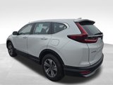Used 2022 Honda CR-V Special Edition image 6