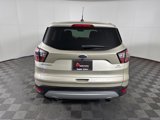Used 2017 Ford Escape SE w/ SE Cold Weather Package image 5