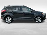 Used 2015 Ford Escape SE w/ SE Chrome Package image 6
