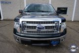 Used 2013 Ford F150 XLT w/ Luxury Equipment Group image 2