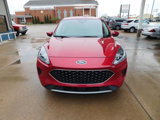 Used 2020 Ford Escape SE image 2