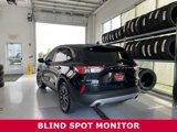 Used 2022 Ford Escape SE w/ Convenience Package image 3