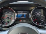 Used 2017 Ford Mustang GT w/ Black Accent Package image 3