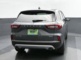New 2025 Ford Escape Active w/ Cold Weather Package image 5