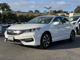 Used 2016 Honda Accord EX-L image 4