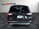 Used 2021 Ford Escape SE w/ Cold Weather Package image 4