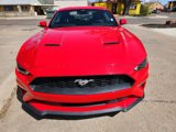 Used 2022 Ford Mustang Premium image 2