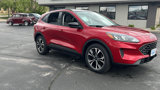 Used 2022 Ford Escape SE w/ SE Sport Appearance Package image 2